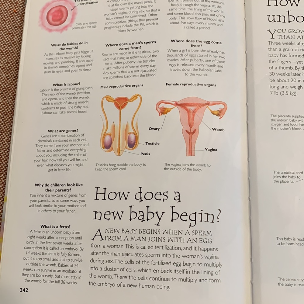 Hard Cover Book - Picture 13 of 14